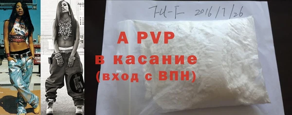 стафф Верея