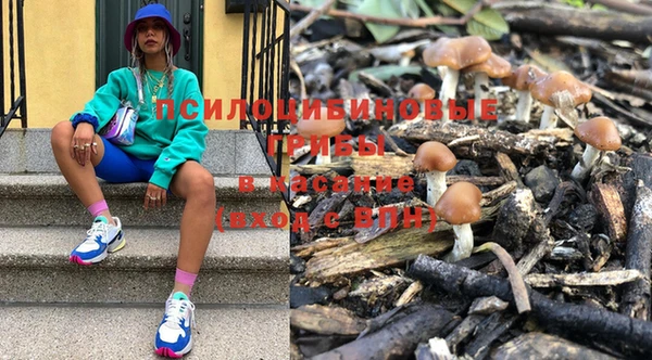 spice Верхний Тагил