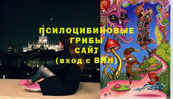 spice Верхний Тагил