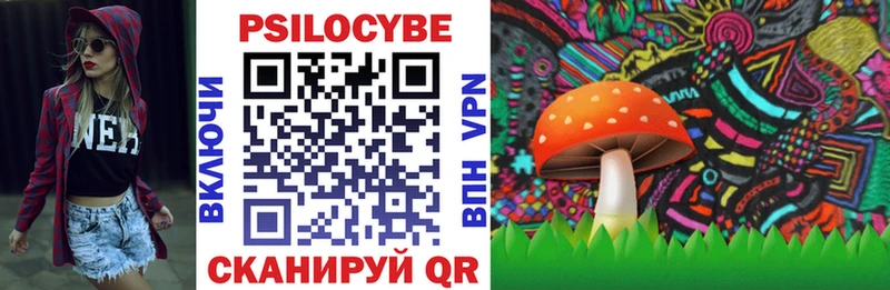 Псилоцибиновые грибы мухоморы  Купить закладки  Валдай 